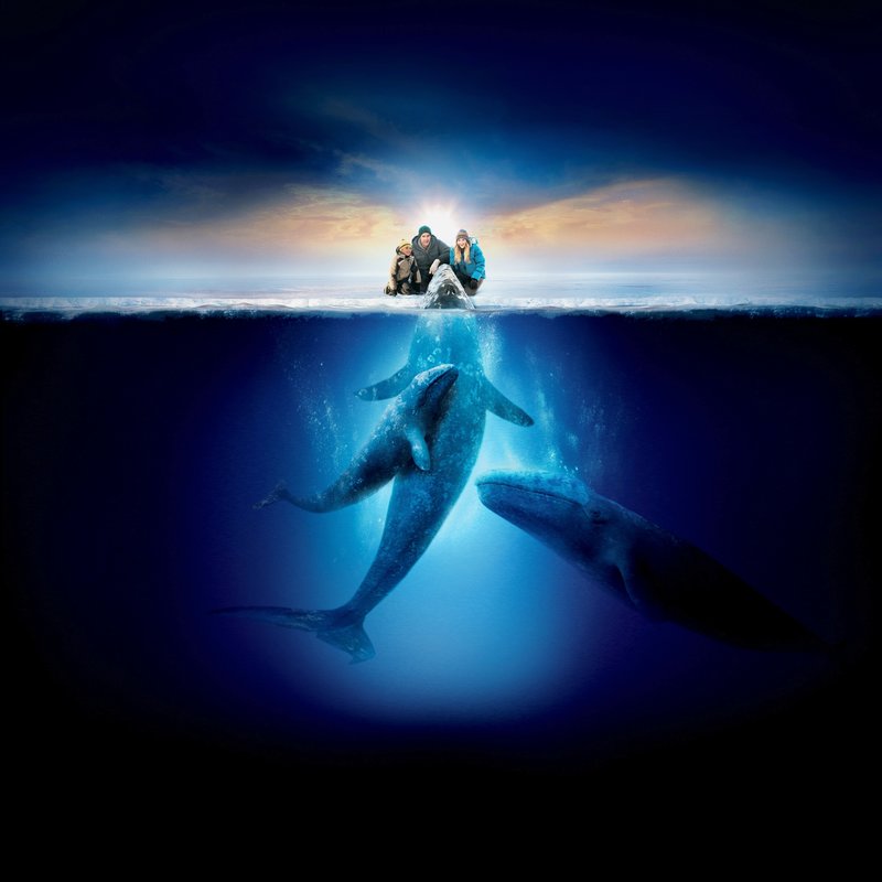 Der Ruf der Wale – Bild: SUPER RTL