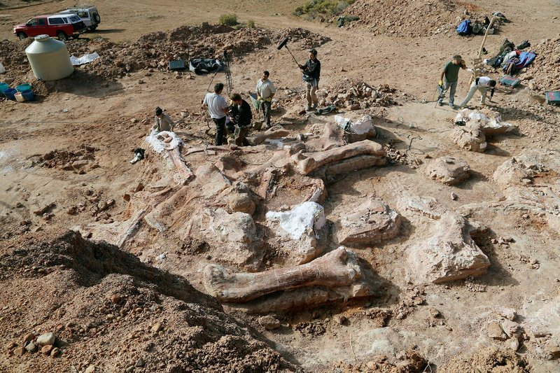Auf der Ausgrabungsstätte in der Nähe von La Flecha südwestlich von Trelew (Argentinien) in der Provinz Chubut: Um die 200 Knochenreste der bisher wohl größten Dinosaurier sind hier entdeckt worden. – Bild: ARTE France /​ © BBC/​William Hicklin 2015.