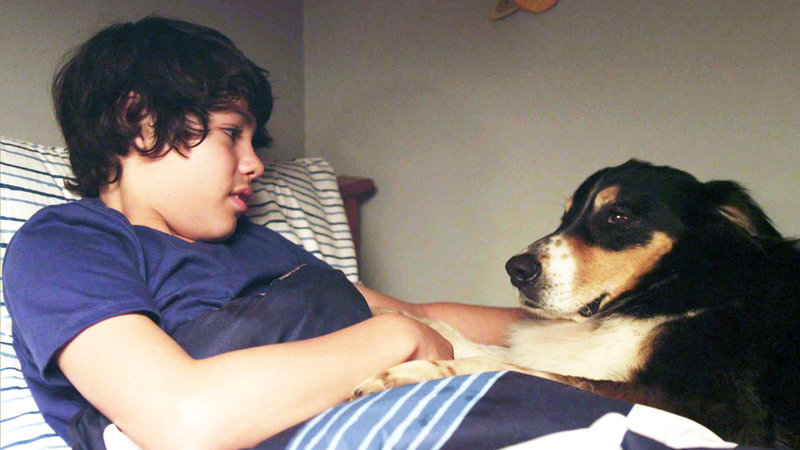 Bark Ranger - Mein Hund, der Held – Bild: RTL Zwei