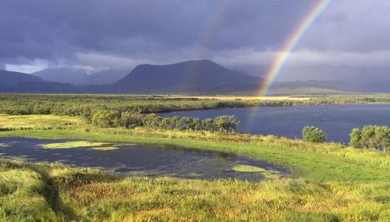 Die Halbinsel Kamtschatka gehört zu den artenreichsten Lebensräumen Ostrusslands. – Bild: NDR/​NDR Naturfilm 2008