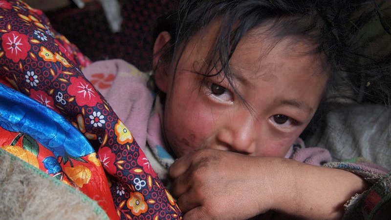 Suoris Tochter wächst in der Tradition der Nomaden des tibetischen Plateaus auf. – Bild: NDR /​ © Wang Heng