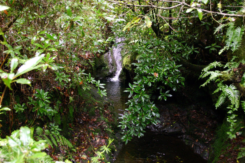 Madeira - Smaragd im Atlantik – Bild: 3sat