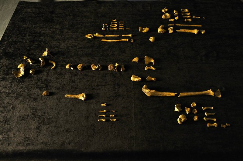 Archäologen entdecken im Norden Englands, nahe der Grenze zu Schottland, menschliche Überreste in der Erde. Nach den ersten Erkenntnissen am Tatort wurde das Opfer gefesselt und es finden sich Spuren von stumpfer Gewalteinwirkung. Die Forscher wollen den Täter finden, doch die Suche könnte sich schwierig gestalten, starb das Opfer doch bereits vor 1.800 Jahren … – Bild: 2011 NGHT, LLC All Rights Reserved. Lizenzbild frei Archäologen entdecken im Norden Englands, nahe der Grenze zu Schottland, menschliche Überreste in der Erde. Nach den ersten Erkenntnissen am Tatort wurde das Opfer gefesselt und es finden sich Spuren von stumpfer Gewalteinwirkung. Die Forscher wollen den Täter finden, doch die Suche könnte sich schwierig gestalten, starb das Opfer doch bereits vor 1.800 Jahren … – Bild: 2011 NGHT, LLC All Rights Reserved. Lizenzbild frei
