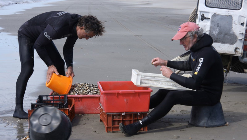 Camargue - Das Erbe der Muschelfischer – Bild: SWR/​Medienkontor/​Vincent Froehly