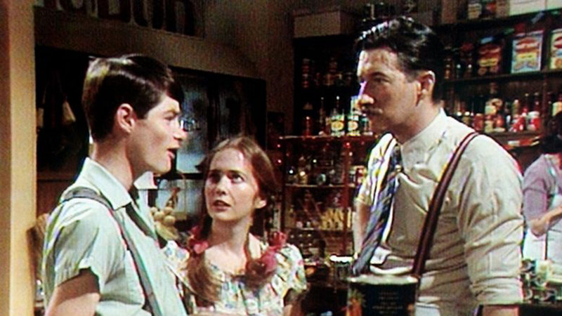 Die Sullivans 142 Ausverkauf (Episode 142) fernsehserien.de