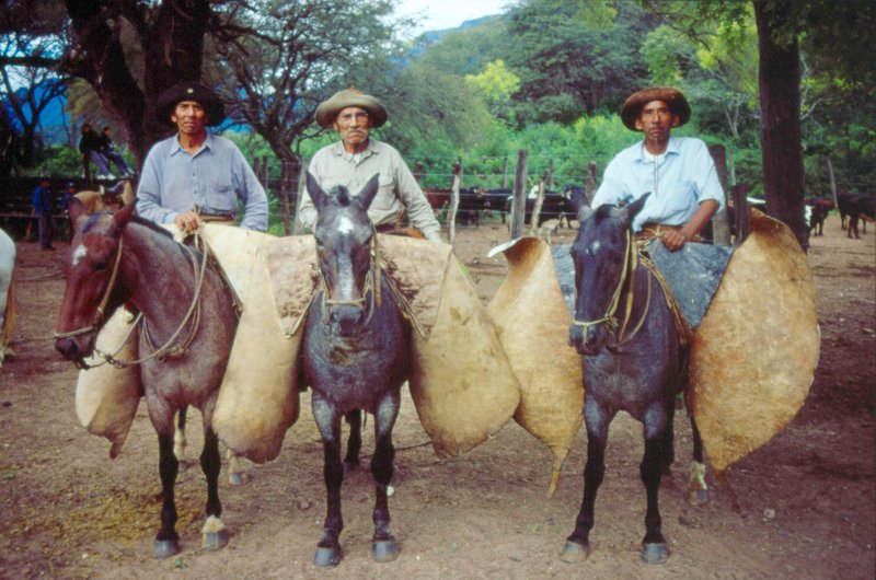 Eduardo Rancheros