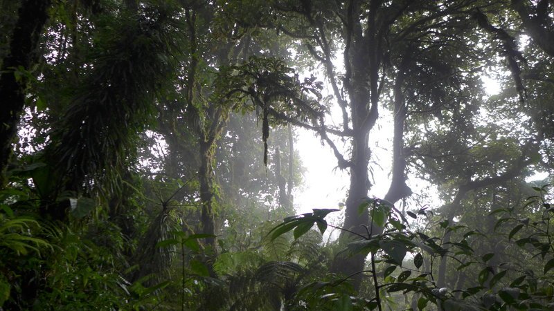 Costa Rica – Bild: Animal Planet