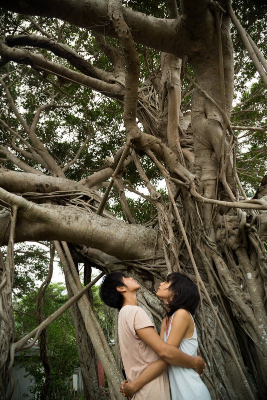 Still the Water – Bild: arte