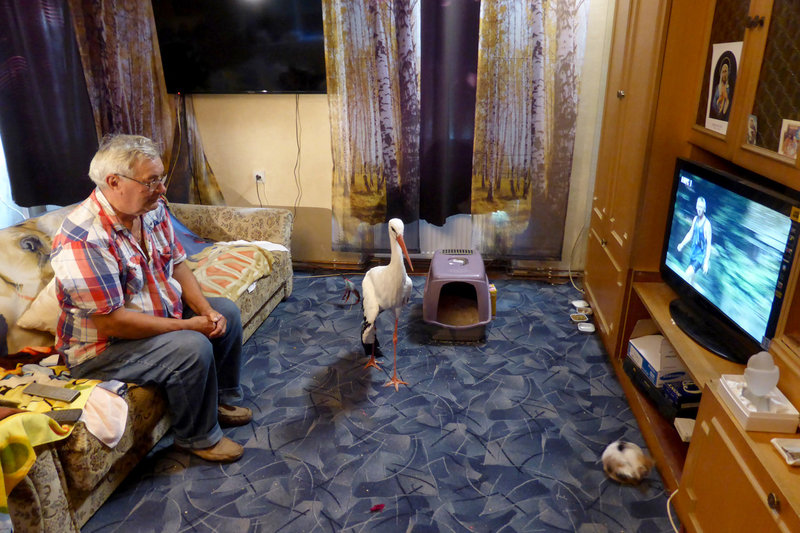 Der alte Mann und der Storch – Bild: ZDF
