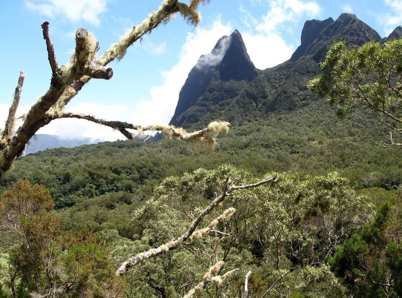 Spektakuläre Landschaft im Kraterkessel von Mafate. – Bild: ZDF und SR/Kerstin Woldt Spektakuläre Landschaft im Kraterkessel von Mafate. – Bild: ZDF und SR/Kerstin Woldt
