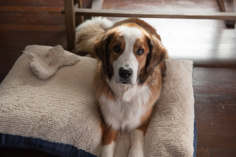 Alle Jahre wieder - Weihnachten mit den Coopers – Bild: ORF