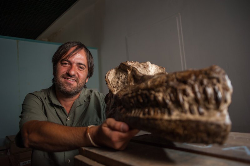 Lucio Ibiricu mit dem Schädelknochen eines Titanosauriers – Bild: Servus TV