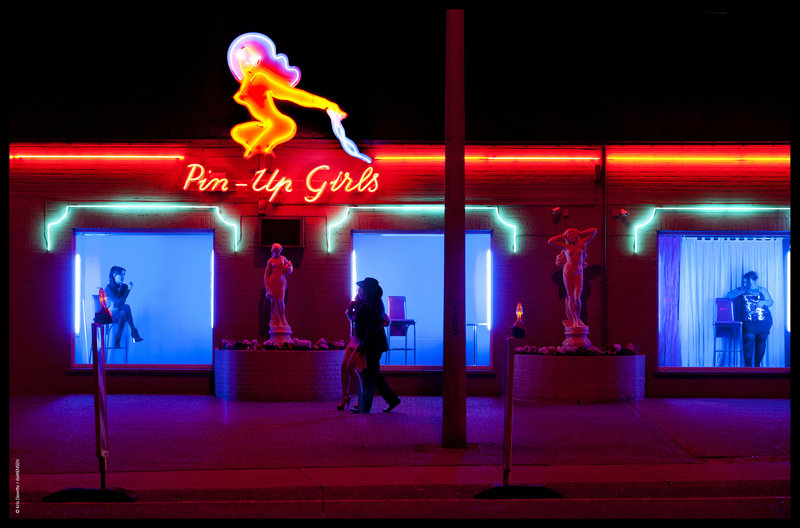 SylviaS Cats Staffel 2 SylviaS Cats Staffel 2