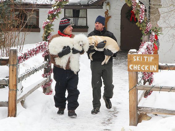 Ein Hund rettet die Weihnachtsferien fernsehserien.de