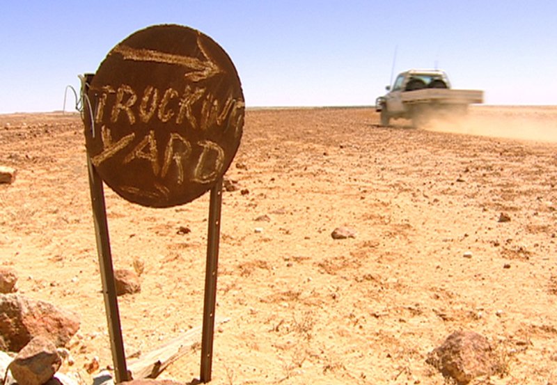 Australiens Channel Country – Bild: NDR/​WDR/​picture pan