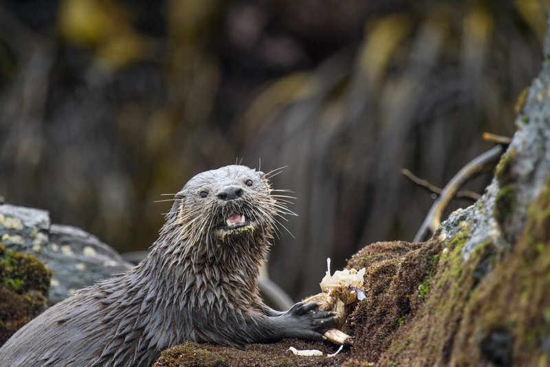 Auf Leben Und Tod Stream