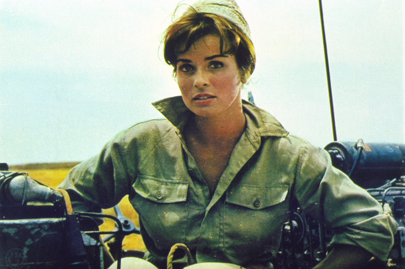 Der Schatten des Giganten – Bild: ORF