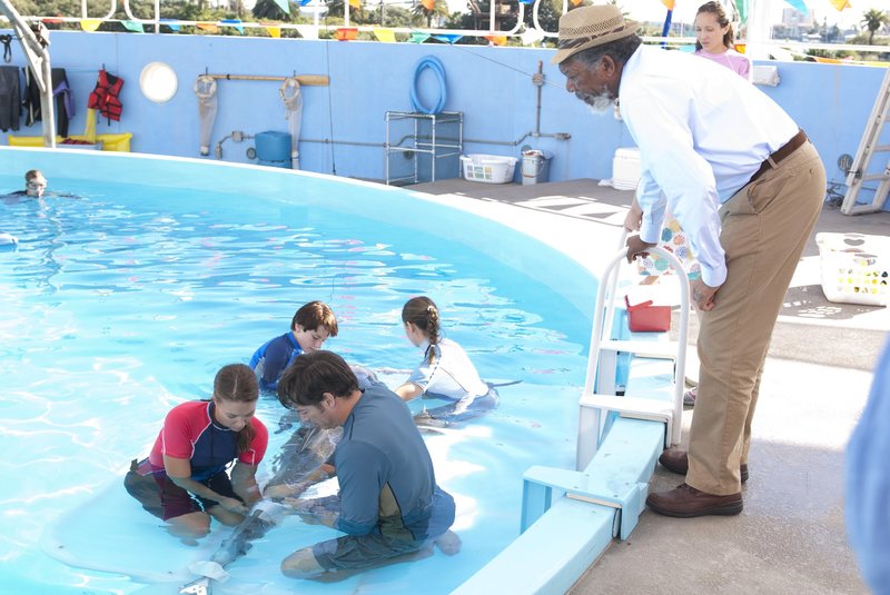 Mein Freund, der Delfin – Bild: MG RTL D /​ © 2011 Alcon Fi