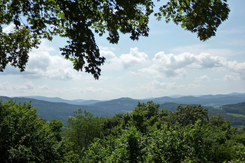 Blick vom Lamberg in Richtung „Nationalpark Bayerischer Wald“. – Bild: ZDF und BR/​Dr