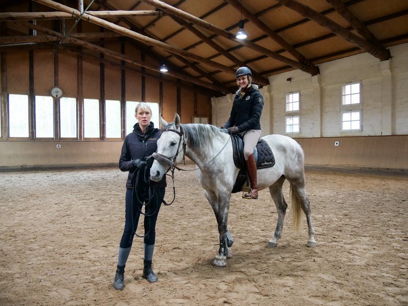 Die Pferdeprofis Kritik