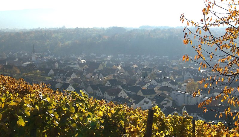 Wir geben nicht auf – Bild: SWR