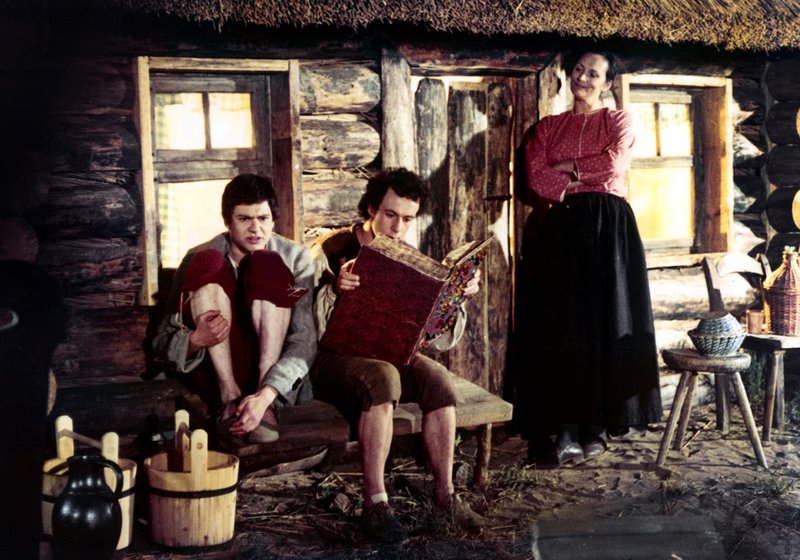 Die schwarze Mühle – Bild: MDR/​DRA/​Damm