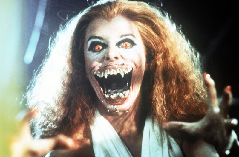 Die rabenschwarze Nacht - Fright Night – Bild: Columbia Pictures Lizenzbild frei