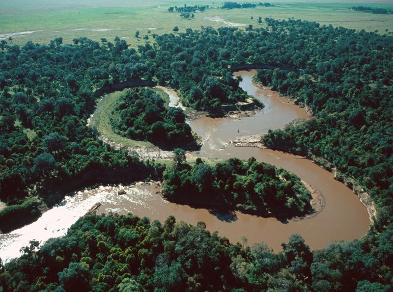 Schicksalsfluss der Serengeti – Bild: NDR/​NDR Naturfilm/​Reinhard Radke