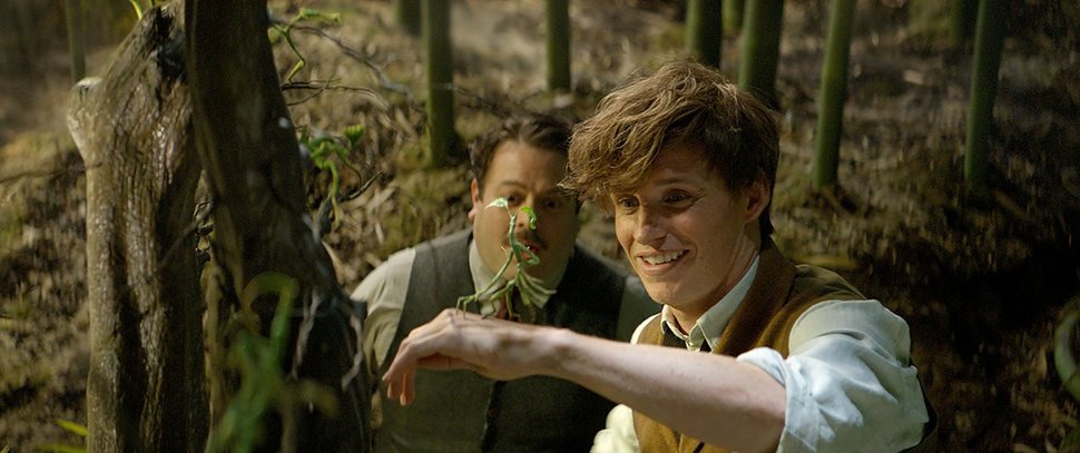 On left: Jacob Kowalski (Dan Fogler) and on right Newt Scamander (Eddie Redmayne). – Bild: Sat.1