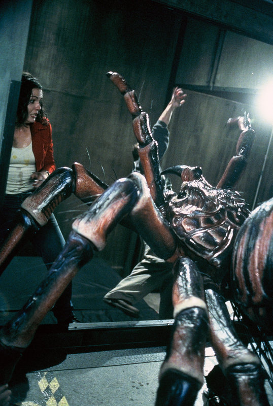 Spider Attack - Achtbeinige Monster – Bild: Tele 5