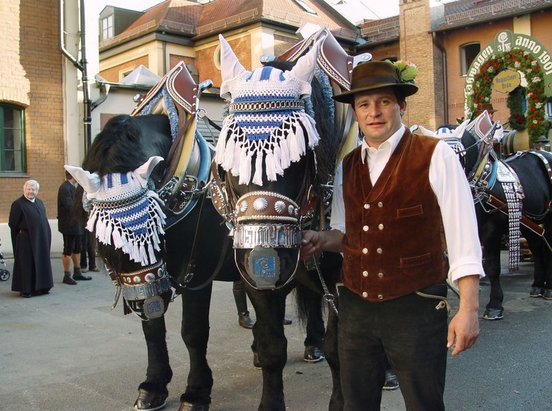 Kutscher Baptist Falter und das Augustiner-Gespann: Die Percheron-Hengste des Falterhofes ziehen seit 1972 den Festwagen der Brauerei. – Bild: BR/​mega© BR/​megaherz – honorarfrei