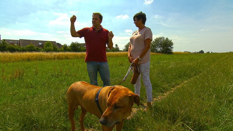 Sendung Verpasst Martin Rutter Die Welpen Kommen Vom 09 08 20