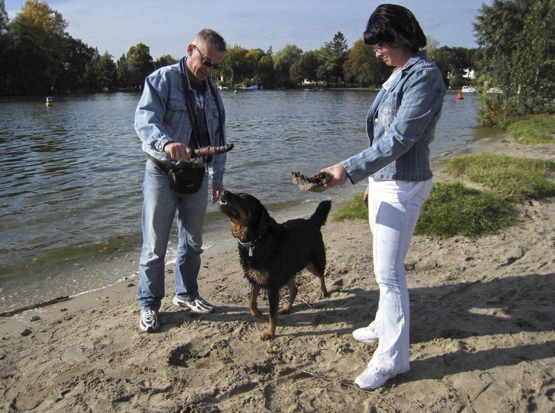 Jörg, geflohen durch Fluss und Maisfeld – damals seine Hochzeitsreise, lebt heute mit neuer Freundin und Hund in Ost-Berlin. – Bild: SWR/​Susanne Bausch