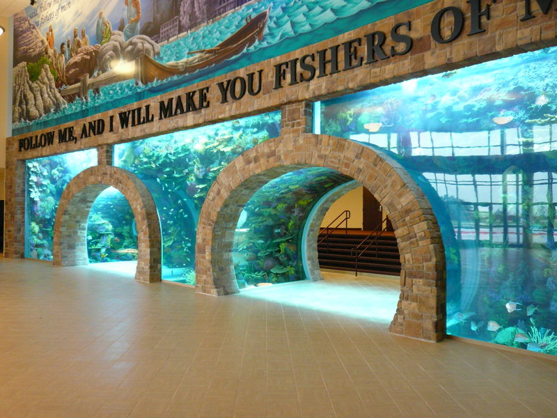 dmax aquarium profis dmax aquarium profis
