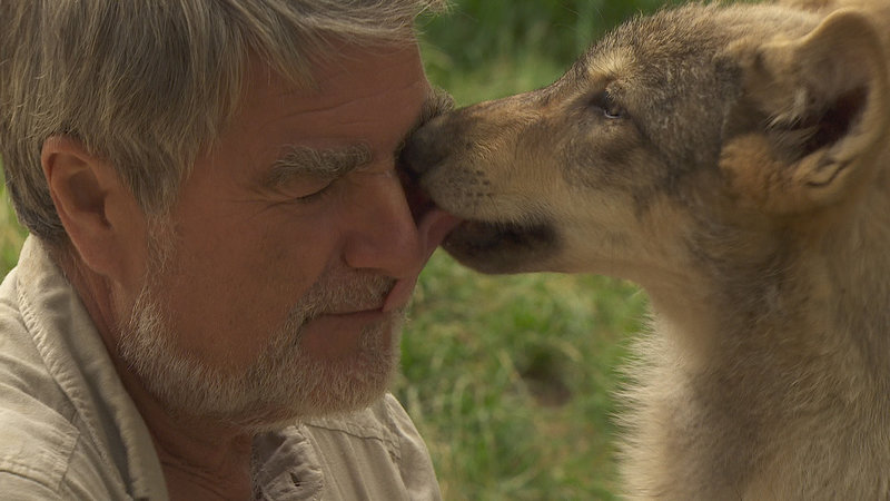 Kurt und seine Wölfe – fernsehserien.de