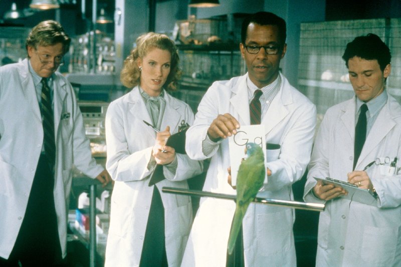 Paulie - Ein Plappermaul macht seinen Weg – Bild: RTL