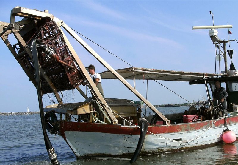 Muschelfischer vor Chioggia. – Bild: ARD alpha Muschelfischer vor Chioggia. – Bild: ARD alpha
