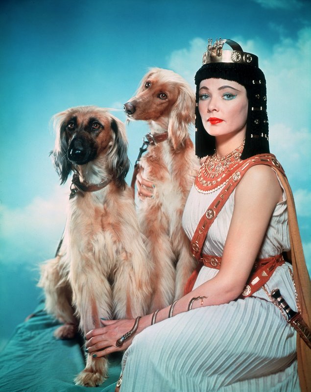 Sinuhe, der Ägypter – Bild: ZDF und Motion Picture © 1954 Twentieth Century Fox Film Corporation.