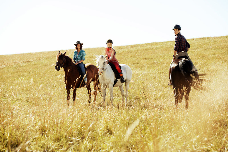 Bibi & Tina - Der Film – Bild: ORF