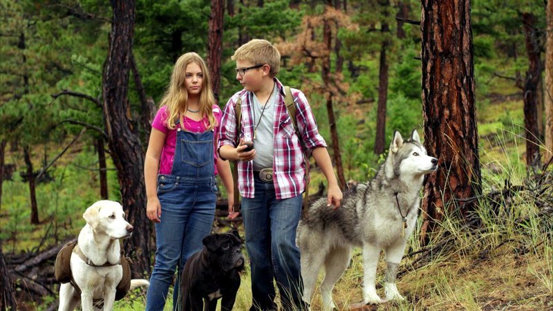 Zusammen mit Timber und seiner besten Freundin Billie (Averie South) macht sich Mikey (J.D. Hoppe) auf die Suche nach dem SchatzZusammen mit Timber und seiner besten Freundin Billie (Averie South) macht sich Mikey (J.D. Hoppe) auf die Suche nach dem Schatz – Bild: RTL Zwei