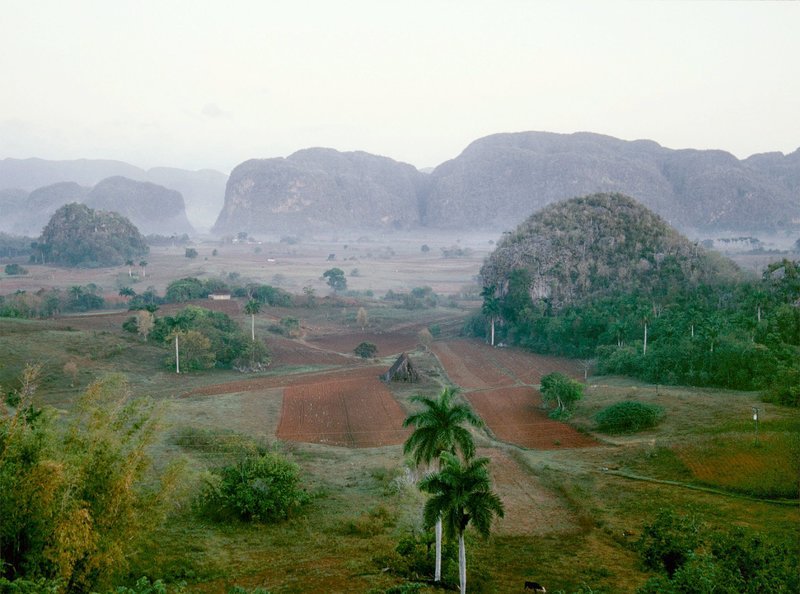 Valle de Vinales in der Provinz del Rio: 188 Kilometer westlich von Havanna gelegen erstreckt sich zwischen den steil aufragenden Mogotes dieses fruchtbare Tal, das die besten Voraussetzungen für den Tabakanbau bietet. – Bild: ZDF und SWR/​Dieter Wolf.