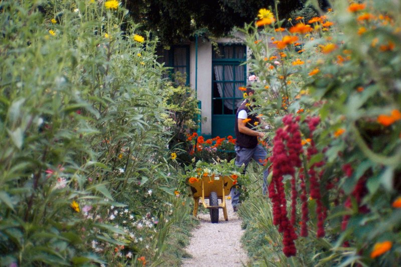 Die Seerosen - Claude Monets Vermächtnis – Bild: ARTE France Honorarfreie Verwendung nur im Zusammenhang mit genannter Sendung und bei folgender Nennung „Bild: Sendeanstalt/​Copyright“. Andere Verwendungen nur nach vorheriger Absprache: ARTE-Bildredaktion