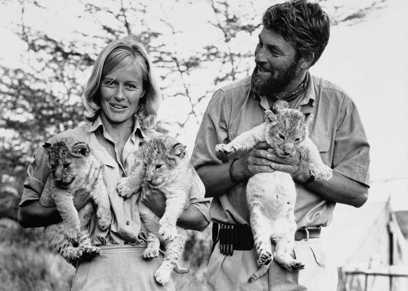 Joy (Virginia McKenna) und George Adamson (Bill Travers) mit ihren drei Löwenjungen. – Bild: MDR/​Sony/​Pro 7