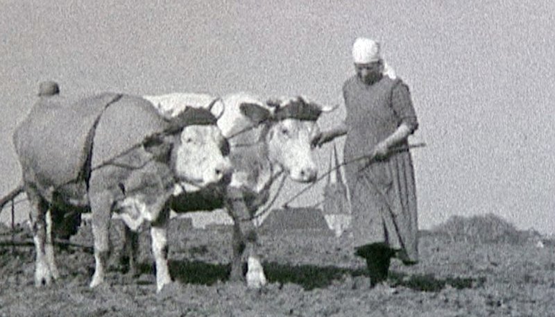 100 Jahre Landwirtschaft im Südwesten Komplettversion Episodenguide