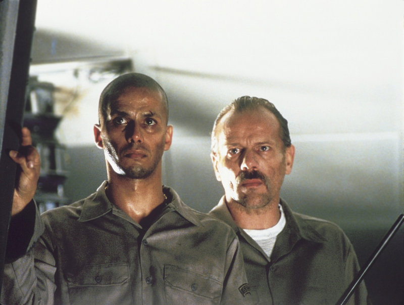 Das tödliche Wespennest – Bild: ProSieben MAXX