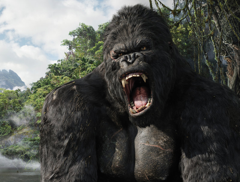 King Kong – Bild: ZDF und Pierre Vinet