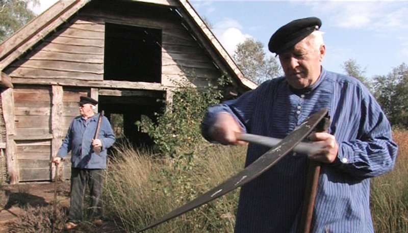 Die Emsländer Moorbauern ernteten den Buchweizen einst mit der Sense – im Emsland Moormuseum wird die mühsame Methode bis heute demonstriert. – Bild: MDR/​NDR Naturfilm 2010