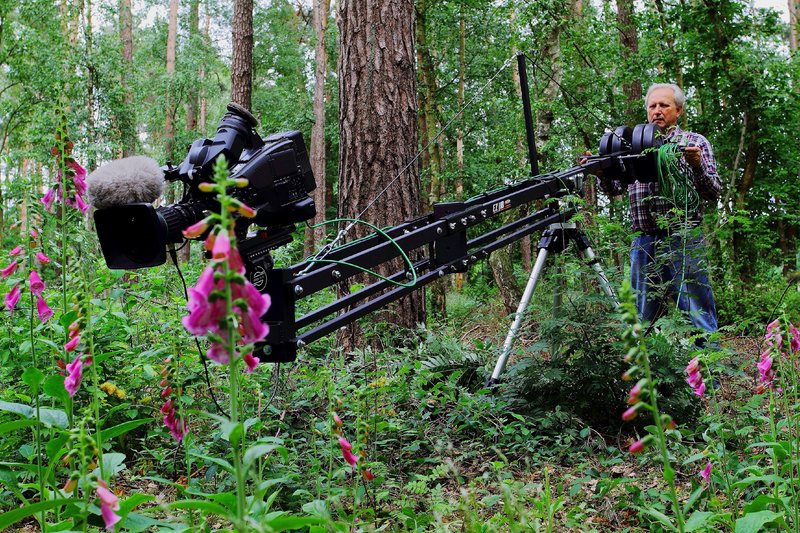 Der Solling – Bild: Geo Television /​ NDR Natur