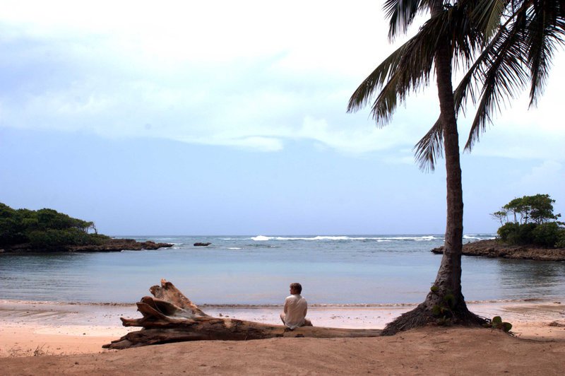 Der Rockstar Jason Masters (Chris Carmack) strandet auf einer einsamen Insel. Was er nicht weiß: Die Insel ist nicht so einsam, wie er glaubt … – Bild: Media 8 Entertainment Lizenzbild frei