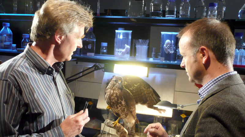 Die Macht der Engel – Bild: ORF